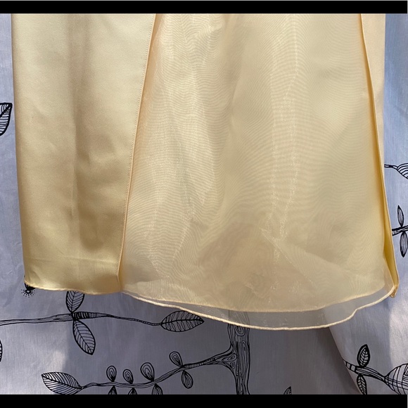 David's Bridal (size 4) Yellow Prom Dress - Picture 6 of 6